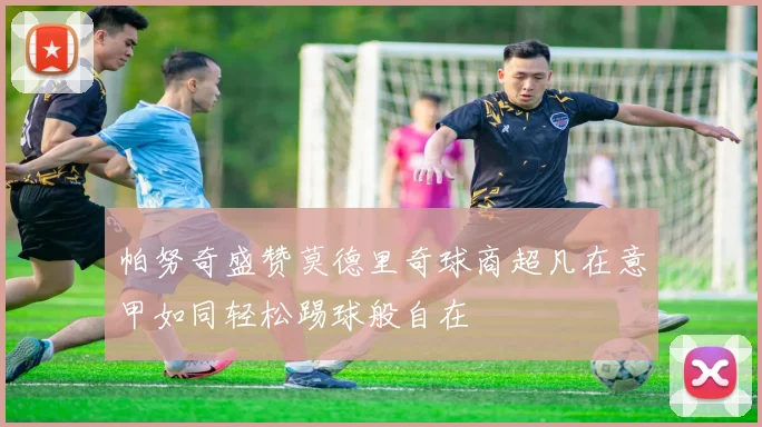 帕努奇盛赞莫德里奇球商超凡在意甲如同轻松踢球般自在